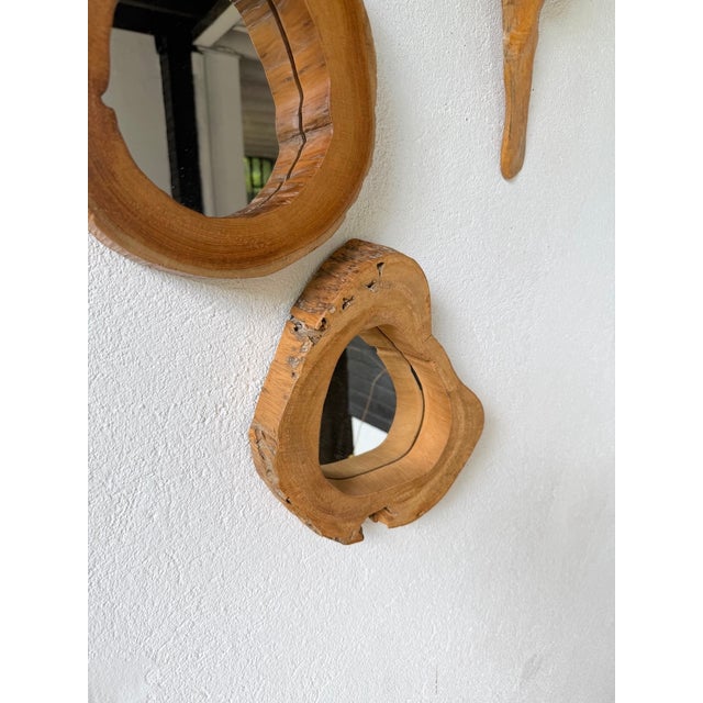 Brutalist Organic Wooden Mirrors, 1950s, Set of 4 For Sale - Image 18 of 18