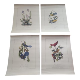 1950s Northwestern Mutual Life Folio Audubon's Birds of America Prints - Set of Four For Sale