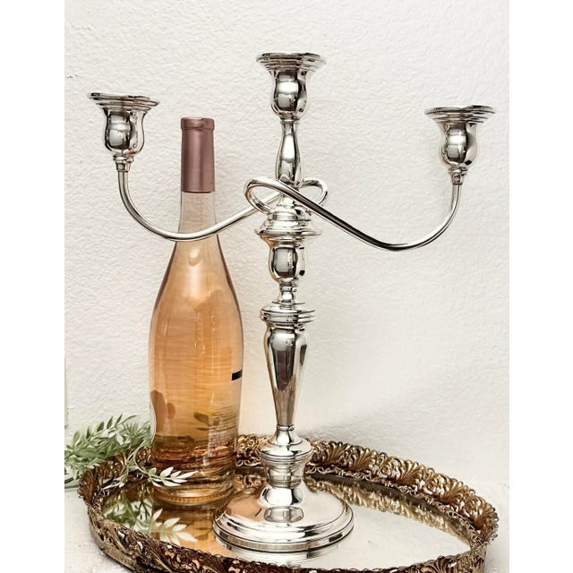 Early 20th Century Vintage Sterling Silver Lord Saybrook Twisted Branch Candelabra For Sale - Image 5 of 11