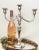 Early 20th Century Vintage Sterling Silver Lord Saybrook Twisted Branch Candelabra For Sale - Image 5 of 11