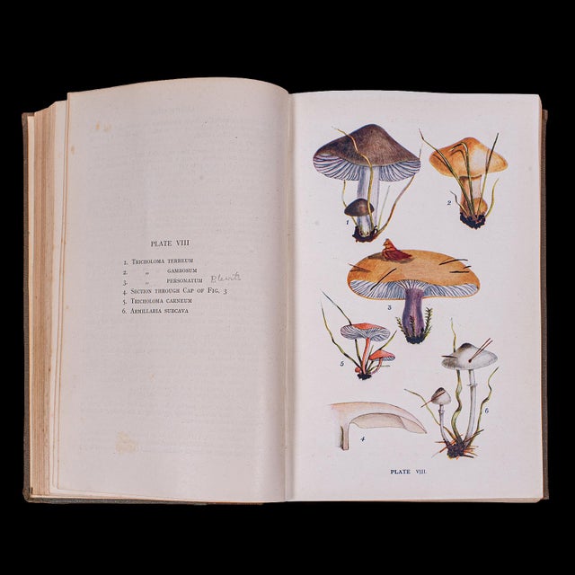 Blue Antique Reference Book, British Fungi, George Massee, English, Natural, Science For Sale - Image 8 of 12