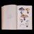 Blue Antique Reference Book, British Fungi, George Massee, English, Natural, Science For Sale - Image 8 of 12