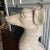 Large 1960s Resin Greyhound Dog Statue For Sale - Image 4 of 8
