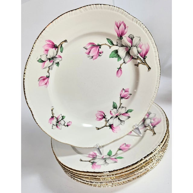 Gold Rimmed Pink Dogwood China Plates- Set of Eight For Sale - Image 10 of 13