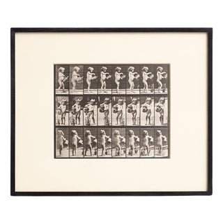 Eadweard Muybridge, Black and White Image, 1982, Photograph, Framed For Sale