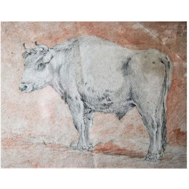 17th Century Circle of Paulus Potter, Bull, 1650, Drypoint and Red Chalk For Sale - Image 5 of 5