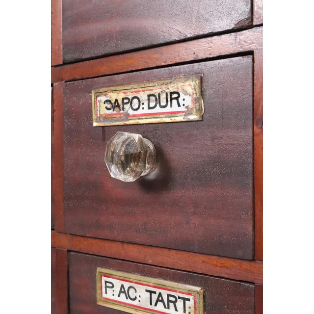19th Century Tabletop Pharmacist's Apothecary Cabinet For Sale - Image 9 of 13