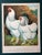 Farmhouse Late 19th Century Antique Cassell’s Poultry Book - American Light Brahmas Chromolithograph For Sale - Image 3 of 4