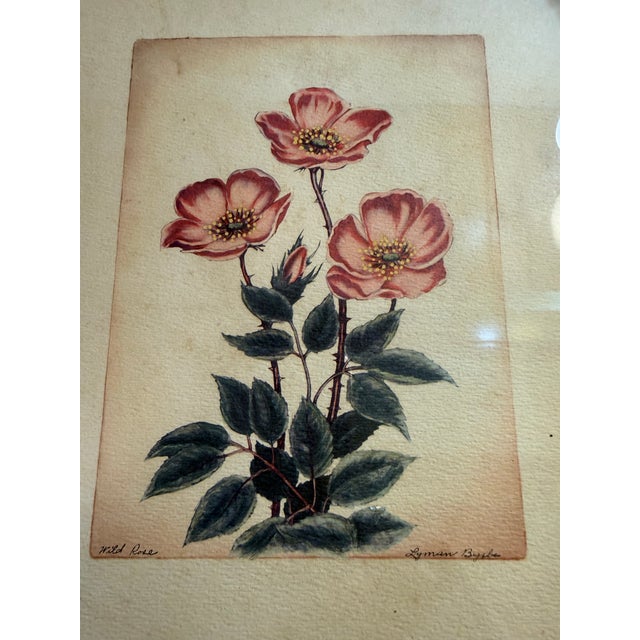 Mid 19th Century Mid 19th Century Lyman Byxbe “Columbine” and “Wild Rose” Prints in Criss Cross Corner Frames - Set of 2 For Sale - Image 5 of 12
