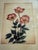 Mid 19th Century Mid 19th Century Lyman Byxbe “Columbine” and “Wild Rose” Prints in Criss Cross Corner Frames - Set of 2 For Sale - Image 5 of 12