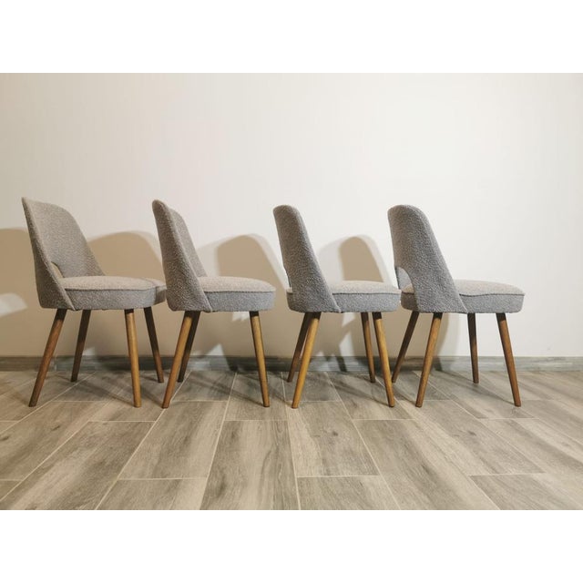 Dining Chairs by Oswald Haerdtl for TON, 1950s, Set of 4 For Sale - Image 12 of 15
