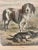 19th-Century Hand Colored French Engraving of a Beagle for "La Chasse Illustree" by Firmin Didot For Sale - Image 11 of 12