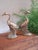 Nautical Pair of Brass Crane Birds For Sale - Image 3 of 6