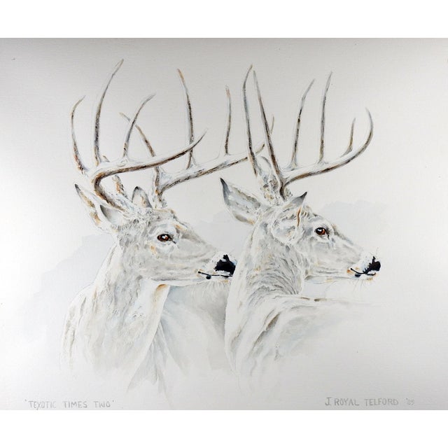 J Royal Telford Texas White Tail Deer Watercolor Painting Chairish