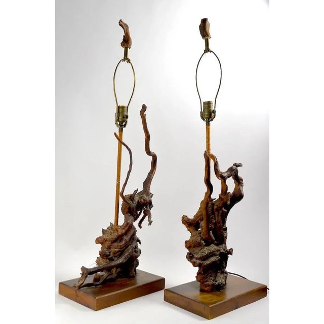 Interesting pair of driftwood lamps in great and unusual dark finish. Both lamps are in very good, original, working...