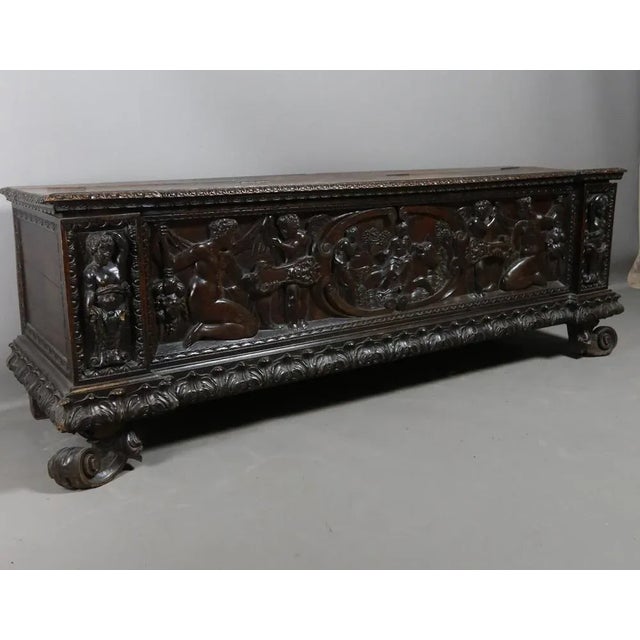 Walnut 19th Century Walnut Cassone Chest For Sale - Image 6 of 12