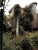 "Secret Gardens in Venice" 2001 Moldi-Ravenna, Christiana For Sale - Image 11 of 12