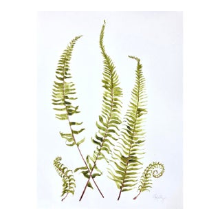 Woodland Fern Painted in Watercolor on Heavy Paper For Sale