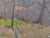 Rural Landscape Antique Painting Original Soviet Art Ukrainian Artist Sokolovsky G. 21-28 1963 For Sale - Image 6 of 6