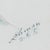 Paint Calligraphic Nothern Bobwhite - Robert Lohman, C. 1981 For Sale - Image 7 of 8