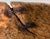 Monumental 18th Century American Burlwood Bowl, Virtually Untouched Historical Significance For Sale - Image 9 of 12