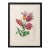 Salvador Dali "Tulip (Lips)" Etching, 1972 For Sale