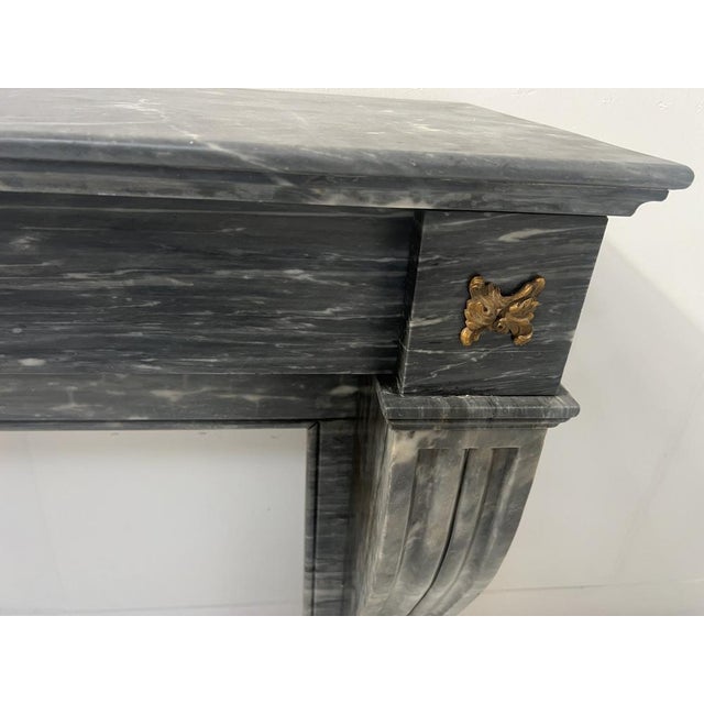 Black Napoleon III Fireplace in Blue Turquin Marble, 1800s For Sale - Image 8 of 18