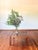 Beautiful handmade square coffee table with unique wood detail. Walnut legs with contrasting mahogany wood and rare...