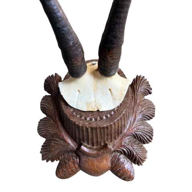 Goat hor trophy on a wood plaque carved with pinecones and pine sprigs.