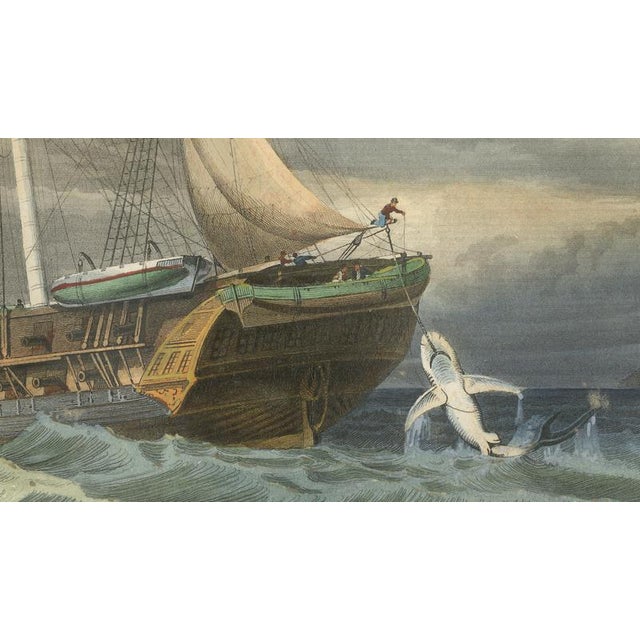 After Édouard Traviès, Shark Fishing, 1840, Hand-Colored Engraving For Sale - Image 6 of 10