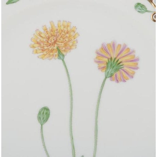 Flora Danica Openwork Lunch Plate in Porcelain from Royal Copenhagen, 1958 For Sale - Image 3 of 8