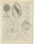 Antique Astronomy Prints by Bell, 1797, Set of 12 For Sale - Image 6 of 14