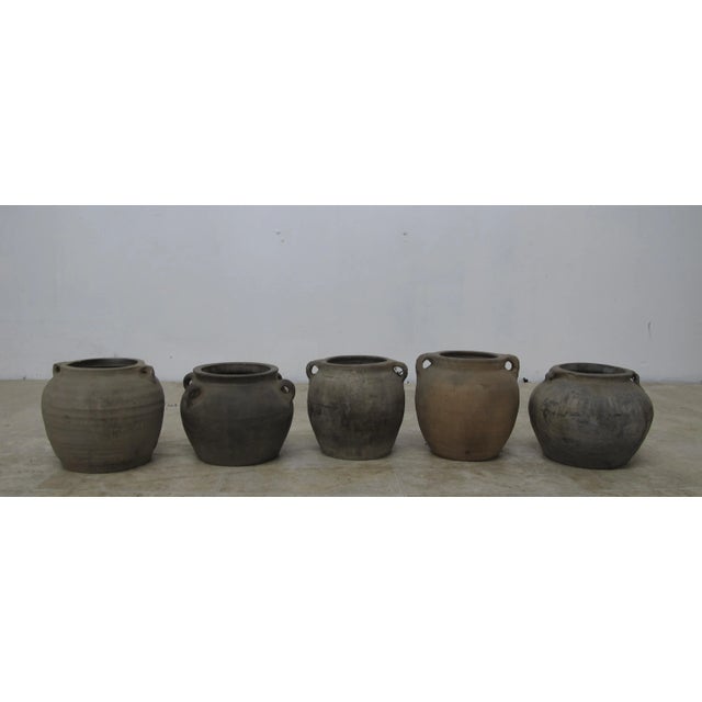 Handmade earthy grey black pot with two ears. Each of them is slightly different in shape and size. This pottery can be...