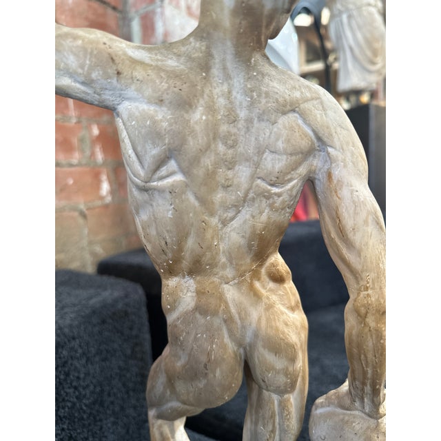 Anatomical Skeletal Cast, Italy 80s For Sale In Los Angeles - Image 6 of 12