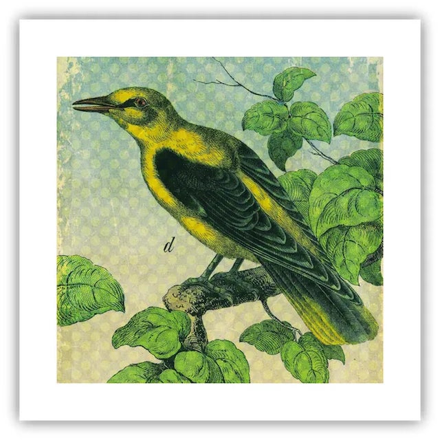 Featured is a beautiful museum-quality print of an original antique bookplate from the late-1800s, that has been digitally...