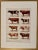 Maurice Dessertenne, Cows, 1920, Lithographic Engraving For Sale - Image 4 of 5