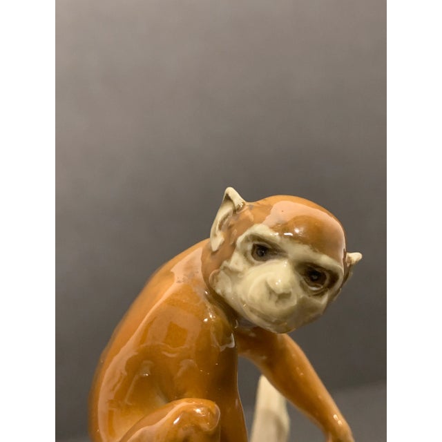 1950s Hutschenreuther Porcelain Monkey Figurine For Sale In Salt Lake City - Image 6 of 9