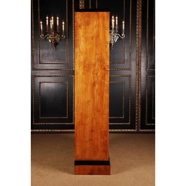 Brown 19th Century Biedermeier Style Bookcase or Vitrine For Sale - Image 8 of 11