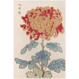 Red Chrysanthemum Giclée, Vintage Japanese Botanical Art Print, 8" X 12" For Sale