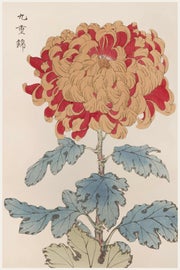 Example of Reproduction Prints