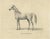 August Jäger, Horse Bairaktar, 1846, Paper Lithograph For Sale - Image 10 of 10