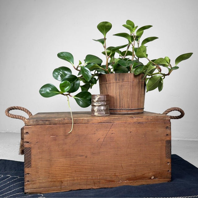 Wood Japanese Wooden Transport Crate, 1920s For Sale - Image 7 of 10