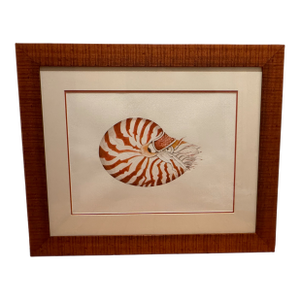 Nautilus Watercolor Painting by Artist Valerie Wall