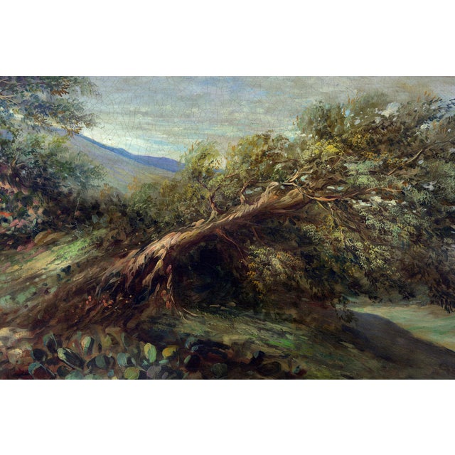 Landscape, Oil on Canvas, 2000s, Framed For Sale - Image 4 of 6