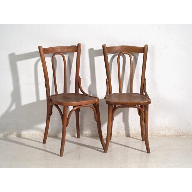 Antique Bentwood Chairs, Central Europe, 1900s, Set of 6 For Sale - Image 10 of 16