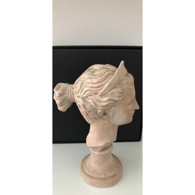1980s Late 20th Century Grecian Diana Bust For Sale - Image 5 of 12