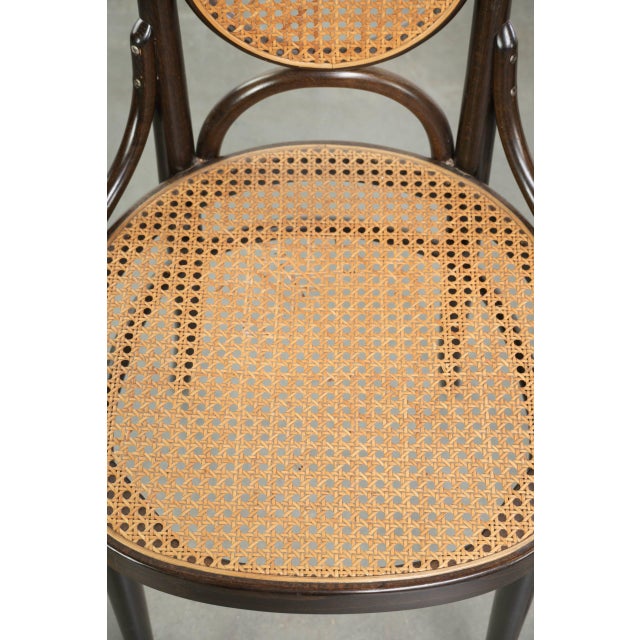 Vintage Long John Webbing Dining Chairs from Thonet, Set of 2 For Sale - Image 6 of 13