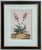 Trowbridge Framed Botanical Prints Set of Two, Abraham Munting For Sale - Image 4 of 7