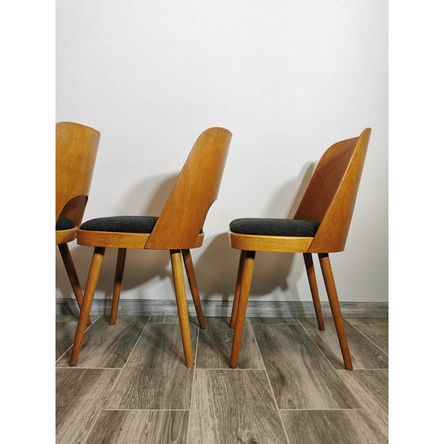 Dining Chairs by Oswald Haerdtl, 1950s, Set of 4 For Sale - Image 6 of 18
