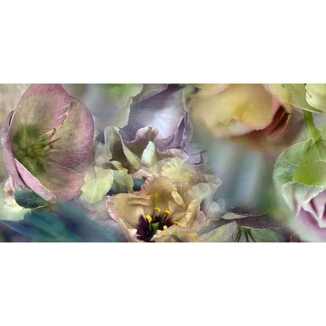 Liberties by Nicole Katano, 13" x 27" Unframed Liberties by Nicole Katano Print, 13" x 27"